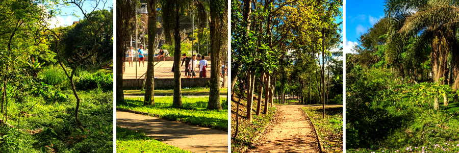 Mosaico com quatro fotografias sendo a primeira de uma área com grama alta e árvores com folhas verdes, a segunda de troncos de árvores sobre a grama verde com uma quadra com pessoas jogando futebol ao fundo, a terceira de uma trilha de caminhos com árvores altas de troncos finos ao redor, e a quarta de arbustos com folhas verdes e diversas árvores com folhas compridas. 